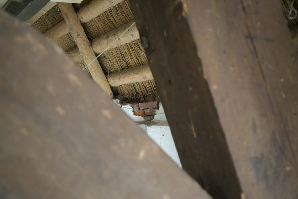 Homeowner places a bucket beneath a ceiling drip while moving furniture away from the wet area.