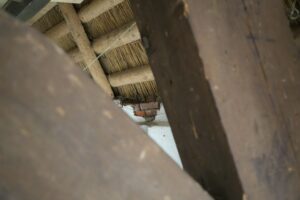 Homeowner places a bucket beneath a ceiling drip while moving furniture away from the wet area.